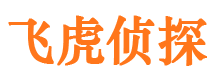 下城市婚外情调查